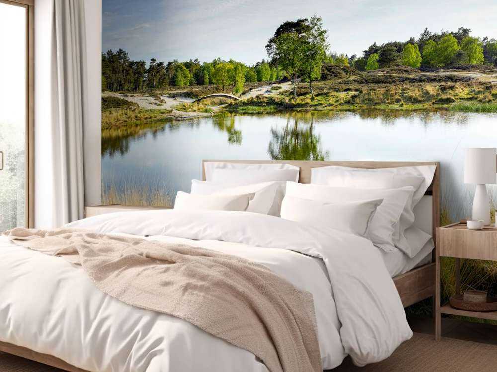 En liten skogsjö i hedområdet