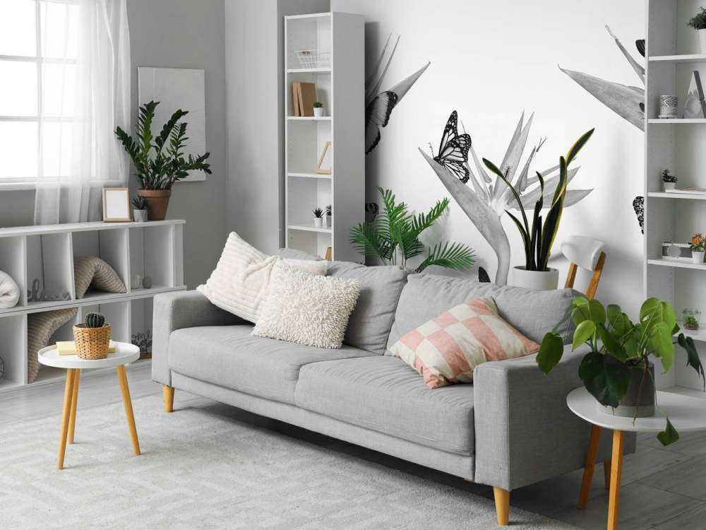 Fjärilar på paradisfågelblommor