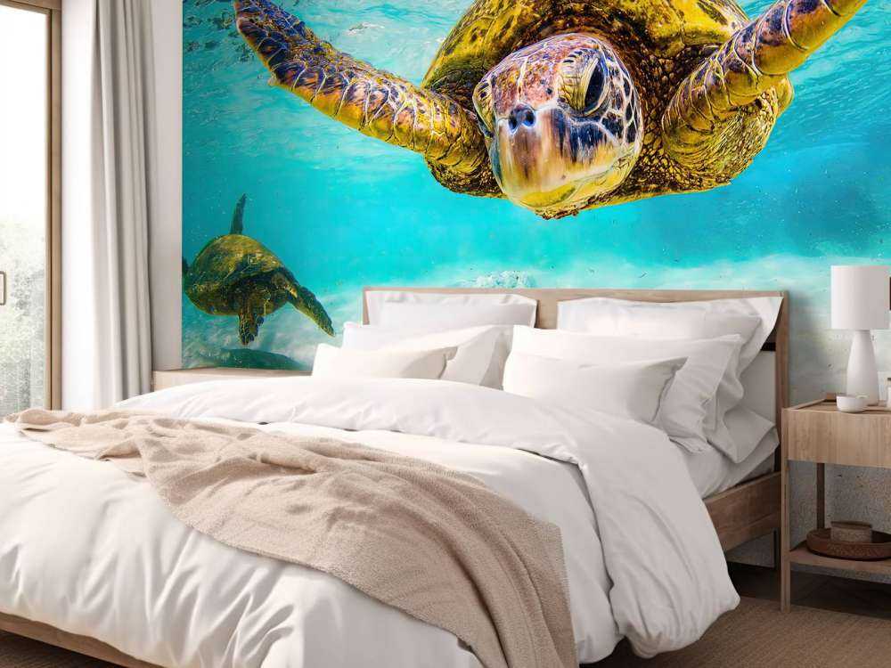 Havssköldpadda i havet