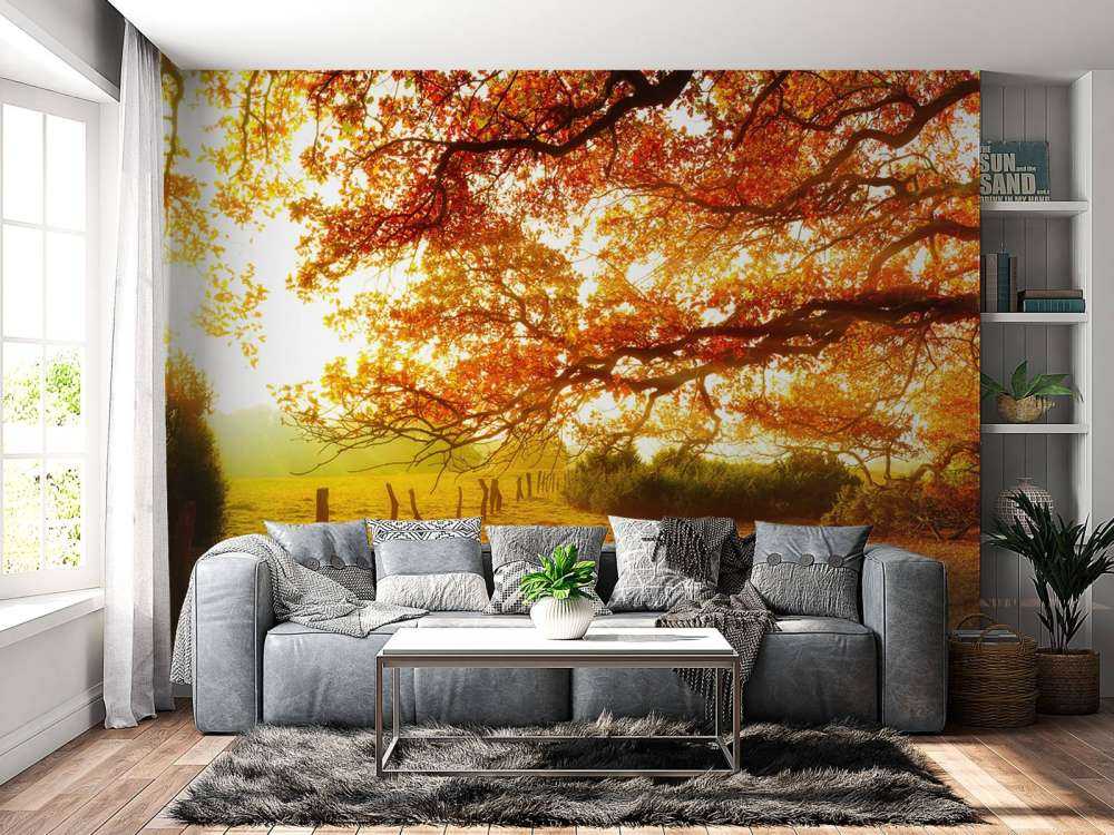 Höstlandskap med skog och äng