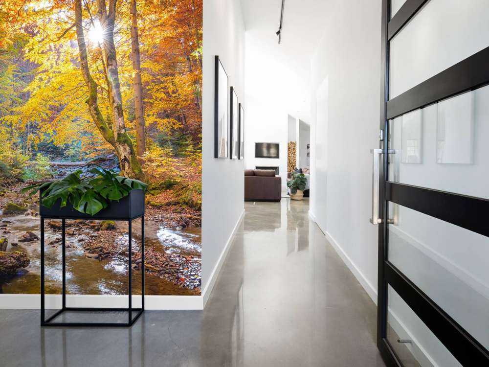 Efterår i en vild skov