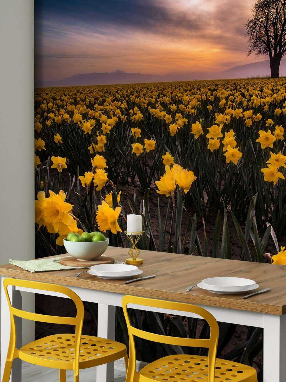 Mark med påskeliljer