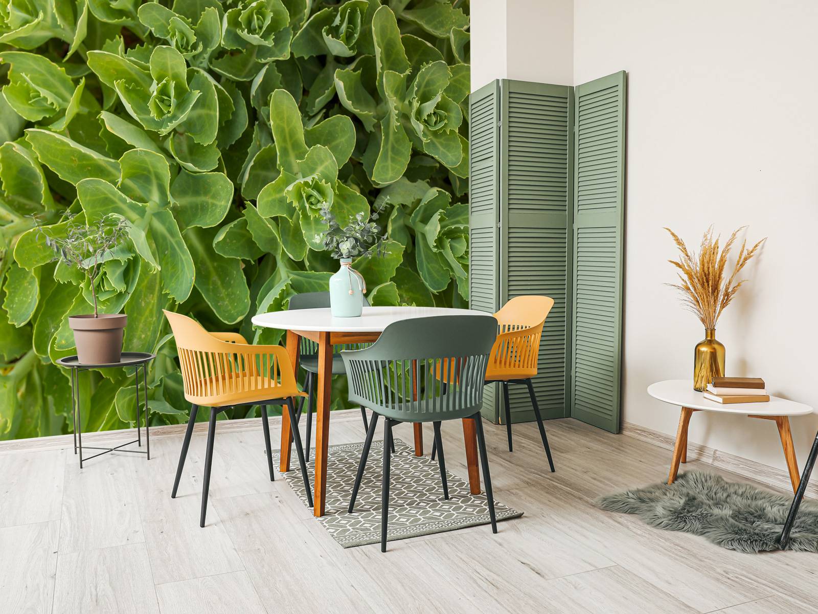 Sukkulenter - Fototapet, image size:1600x1200