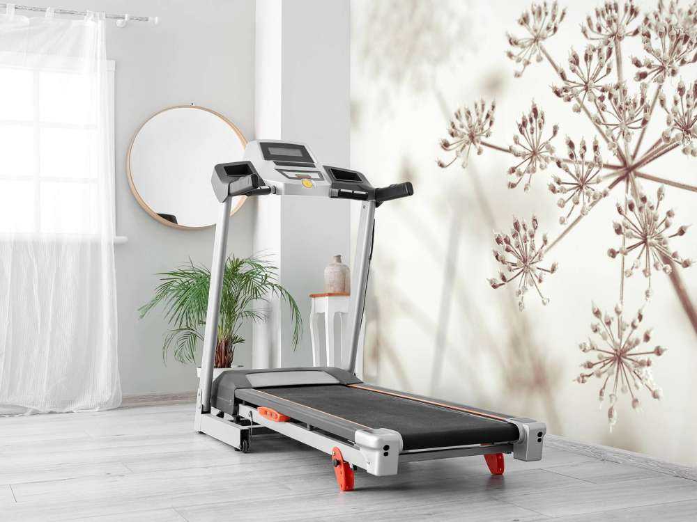 Nærbillede af ko persille