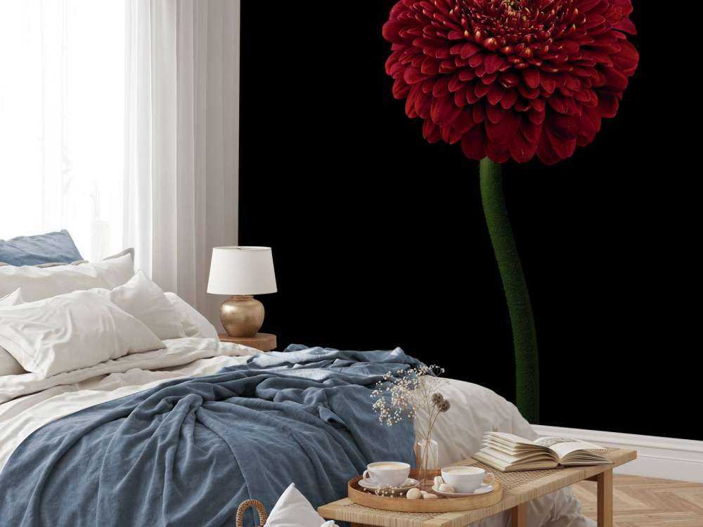 Rød blomst på stammen