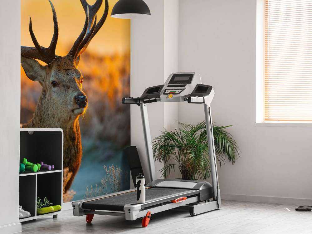 Hert in natuurgebied