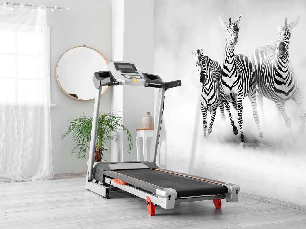Zebraer