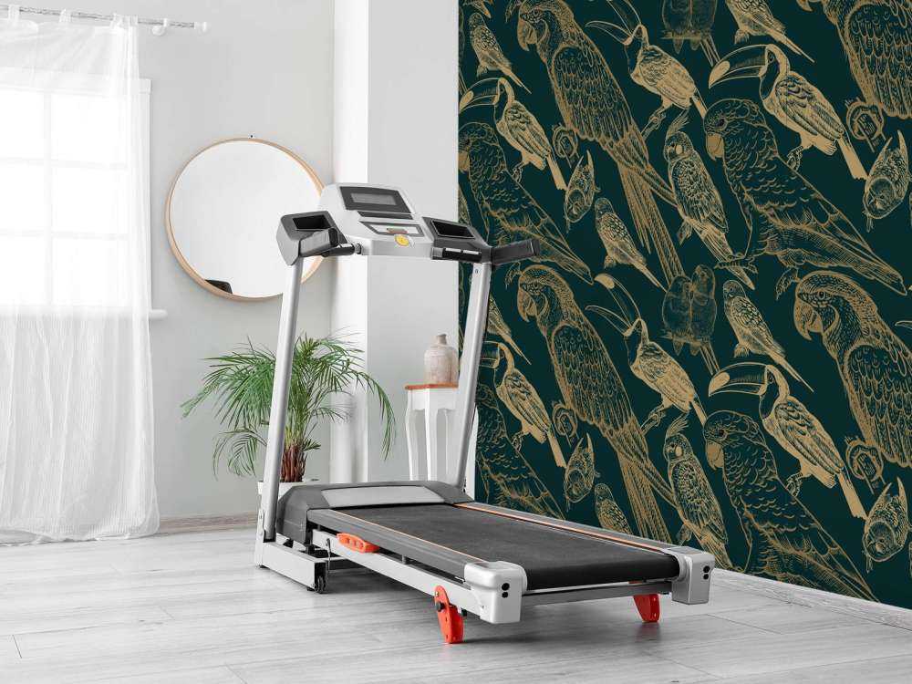 Papegøje og Toucan mønster