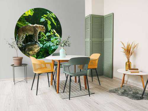 Leopard på en klippe