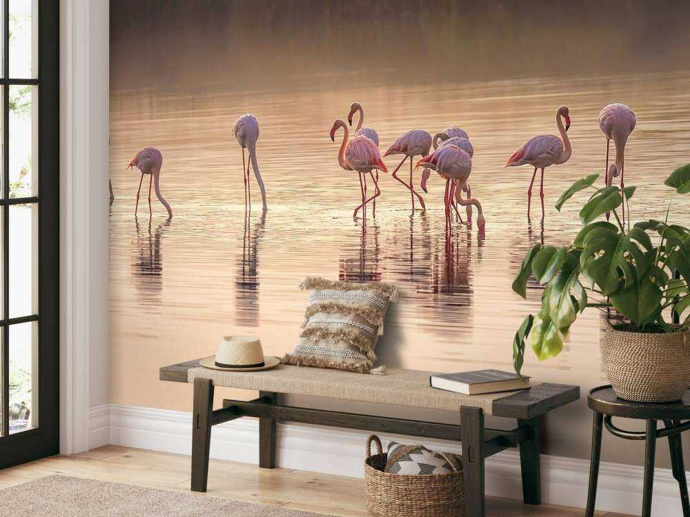 Fotografisk ode til Monet