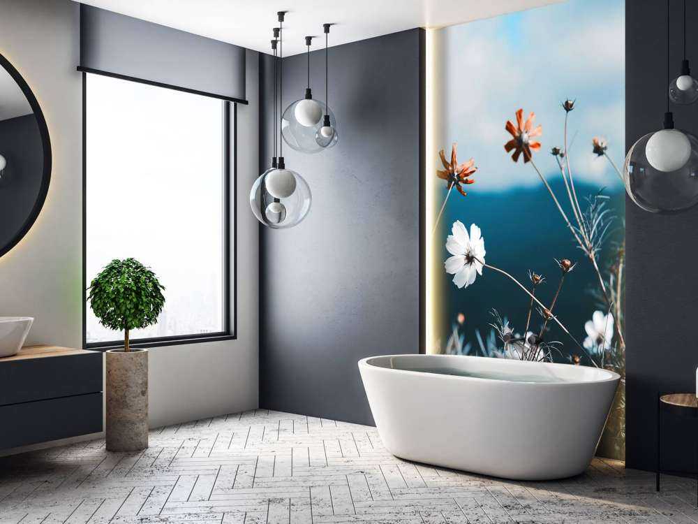 Kosmos blomster i marken