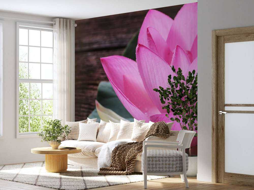 Nærbillede lyserød lotus