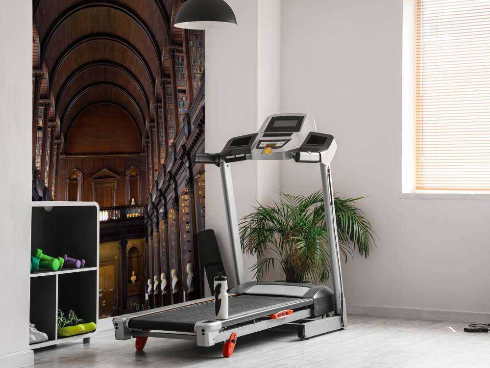 Klassisk bogsal med buer