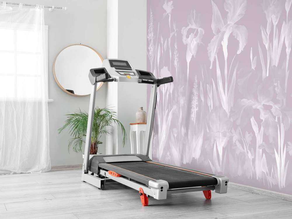 Glad forår tåget rose