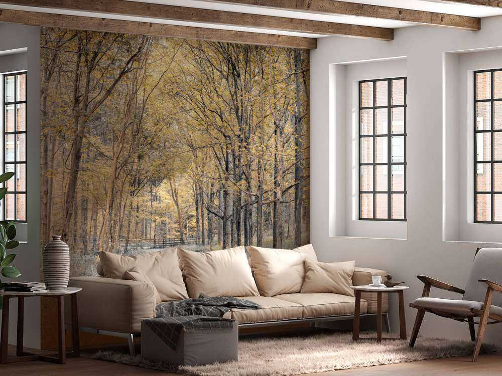 Skovvej i efteråret