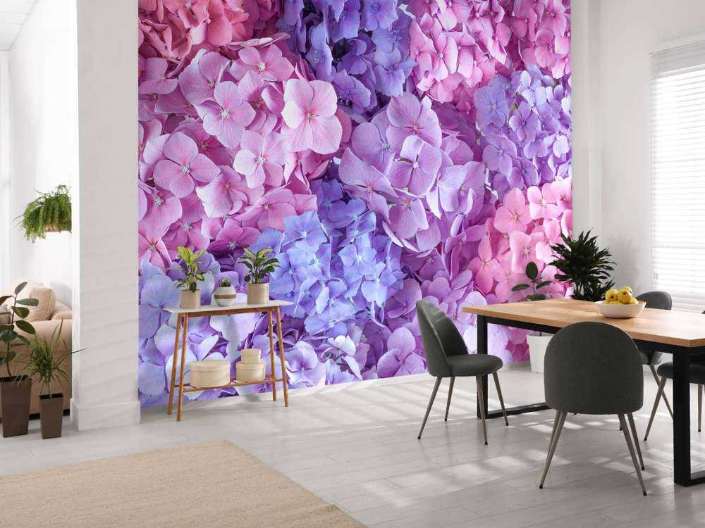 Farverige hortensiaer