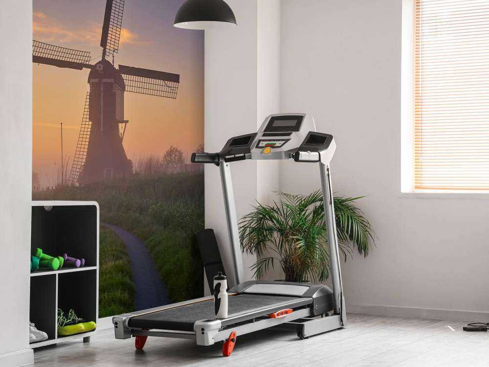 Mølle ved solopgang