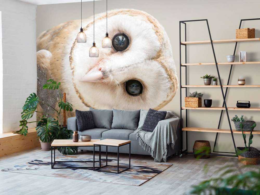 Ugle med hovedet på skrå