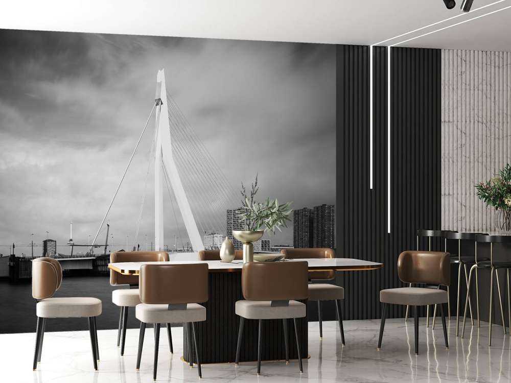 Erasmus bro Rotterdam