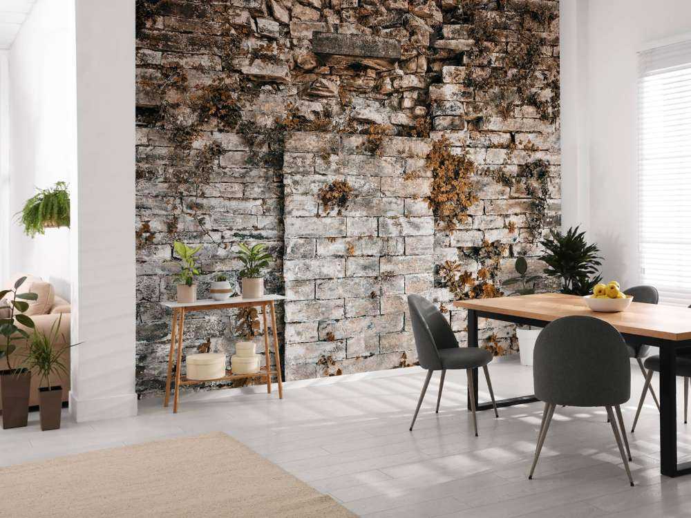 Vegetationsklædt væg om efteråret