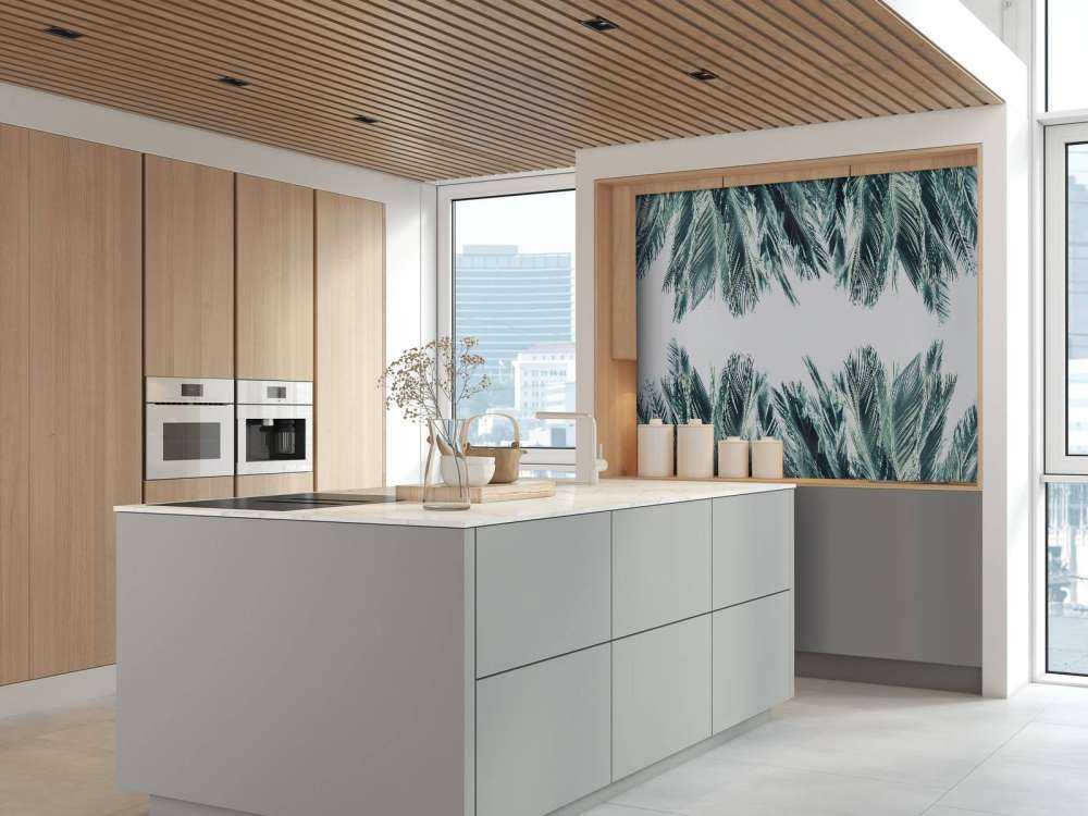 Palme blade på hvid baggrund