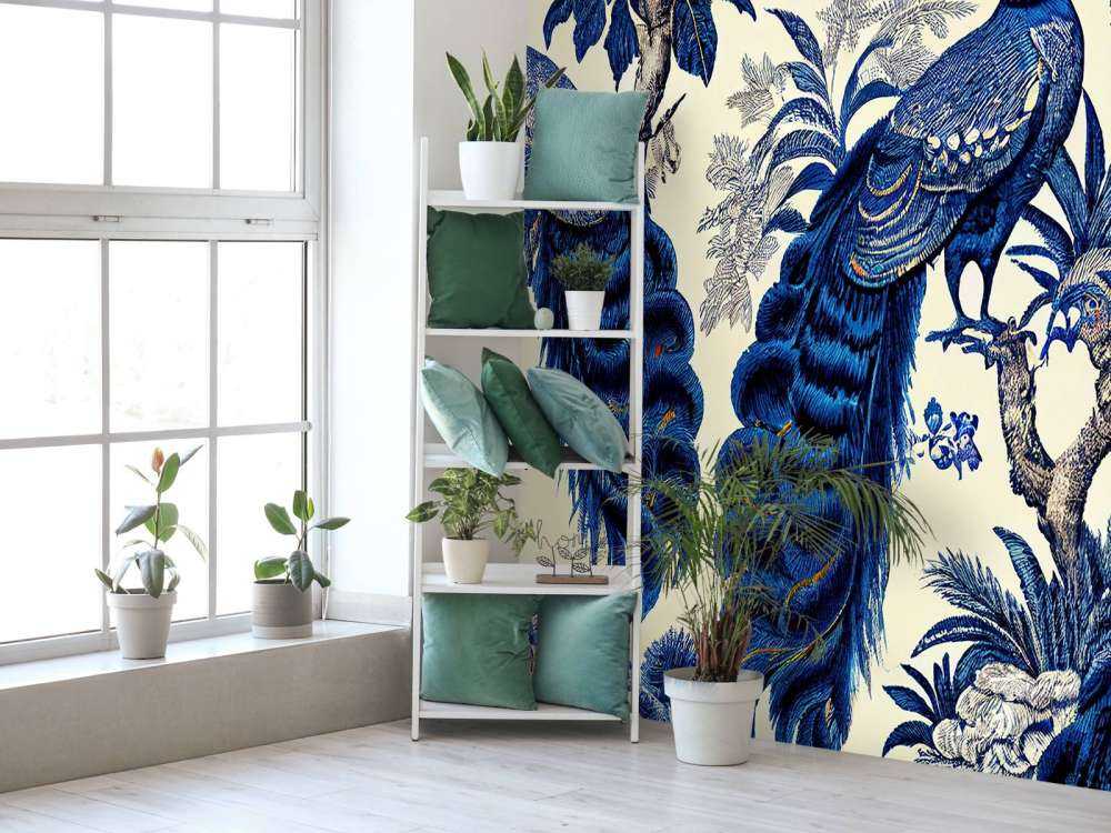 Kongeblå påfuglens pragt