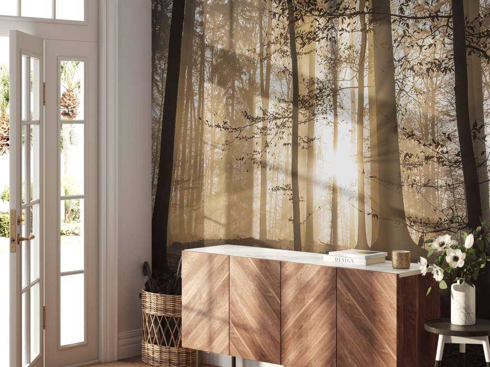 Solskin i en tåget skov