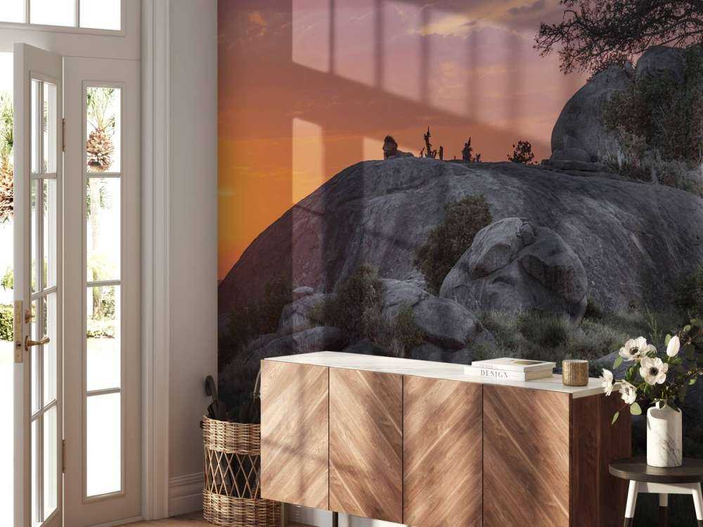 Solnedgang over savannen