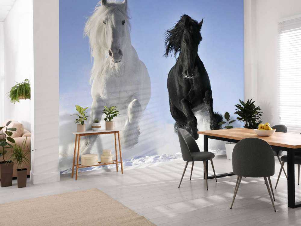 Hvit og en svart hest