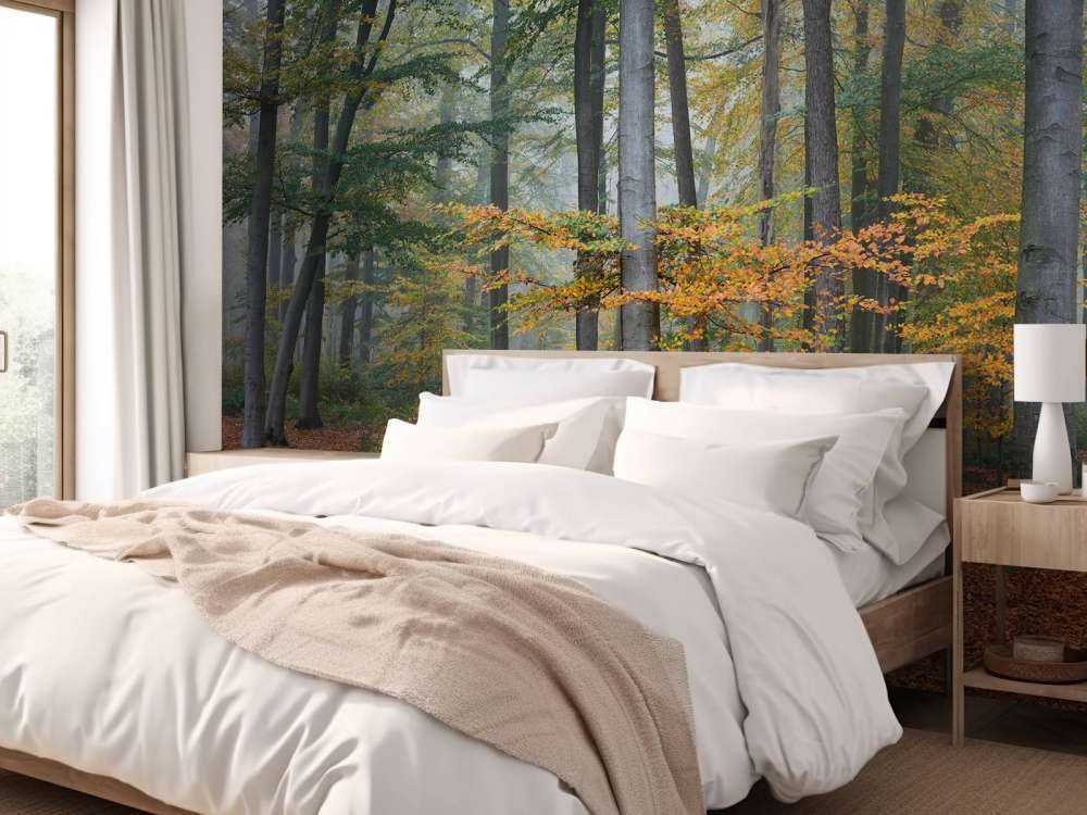 Høstfarger i tåkete skog