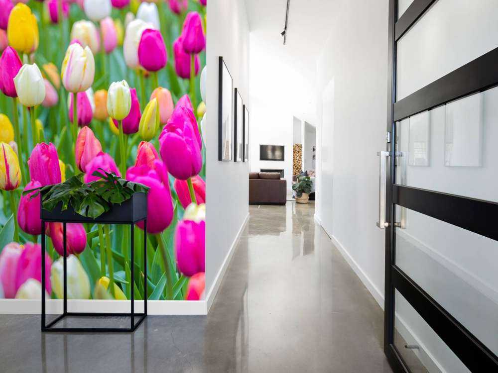 Fargerike tulipaner i en åker