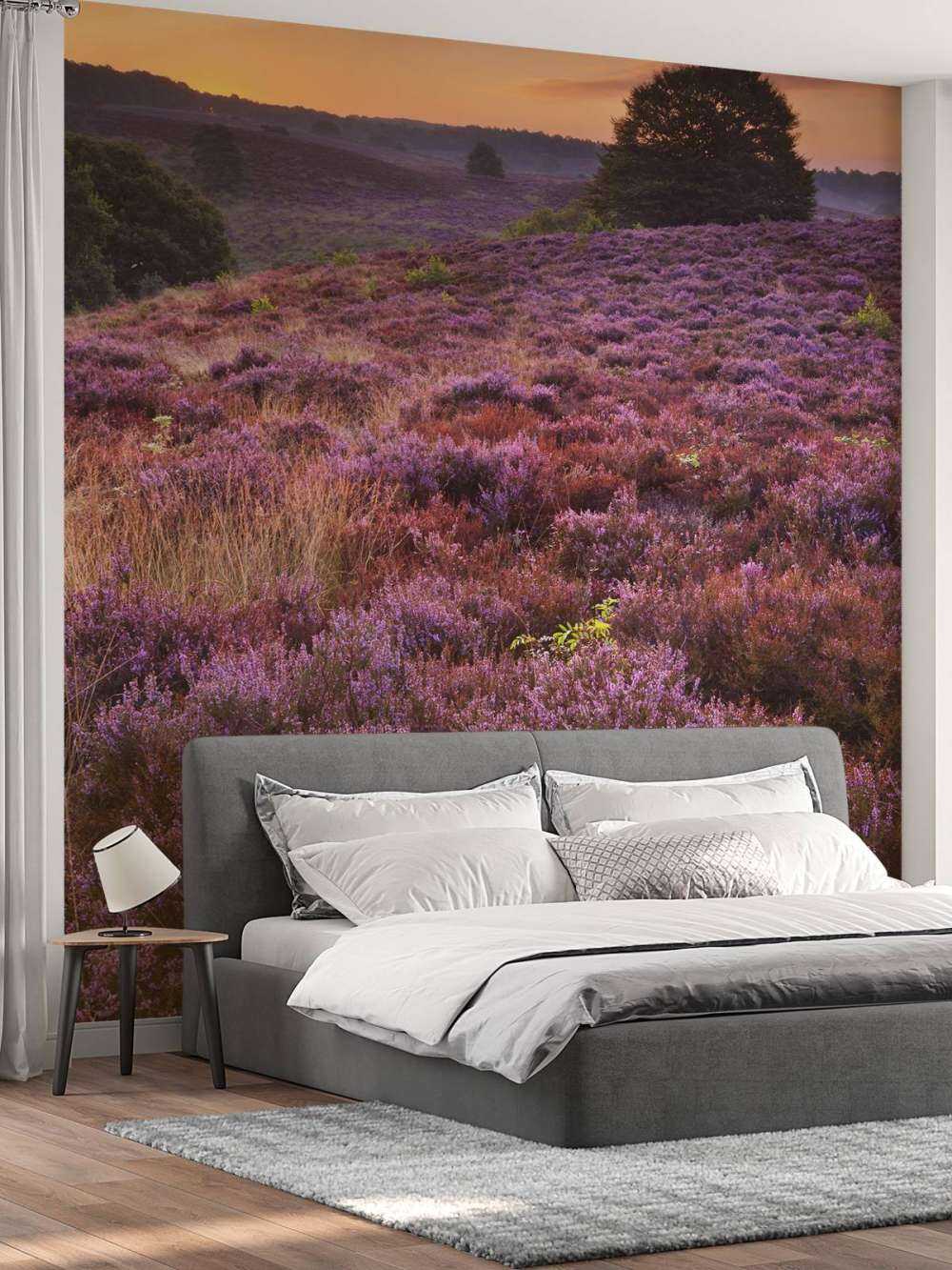 solnedgang i Posbank