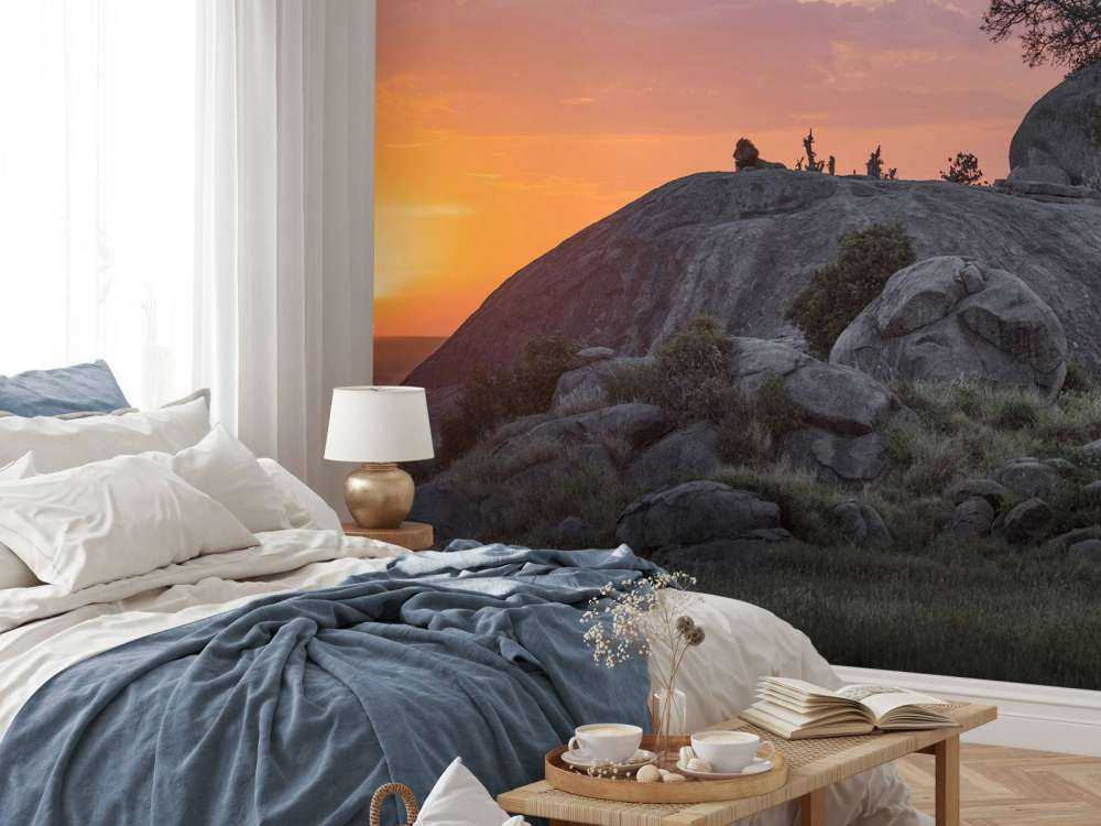 solnedgang over savannen