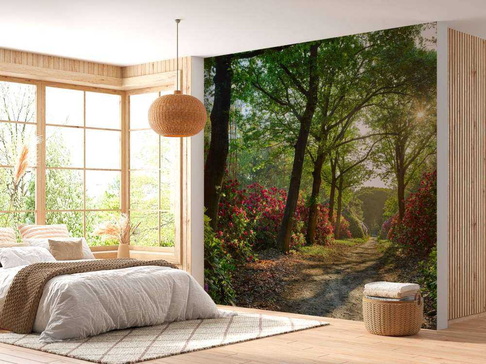 Soloppgang med sti med rododendroner