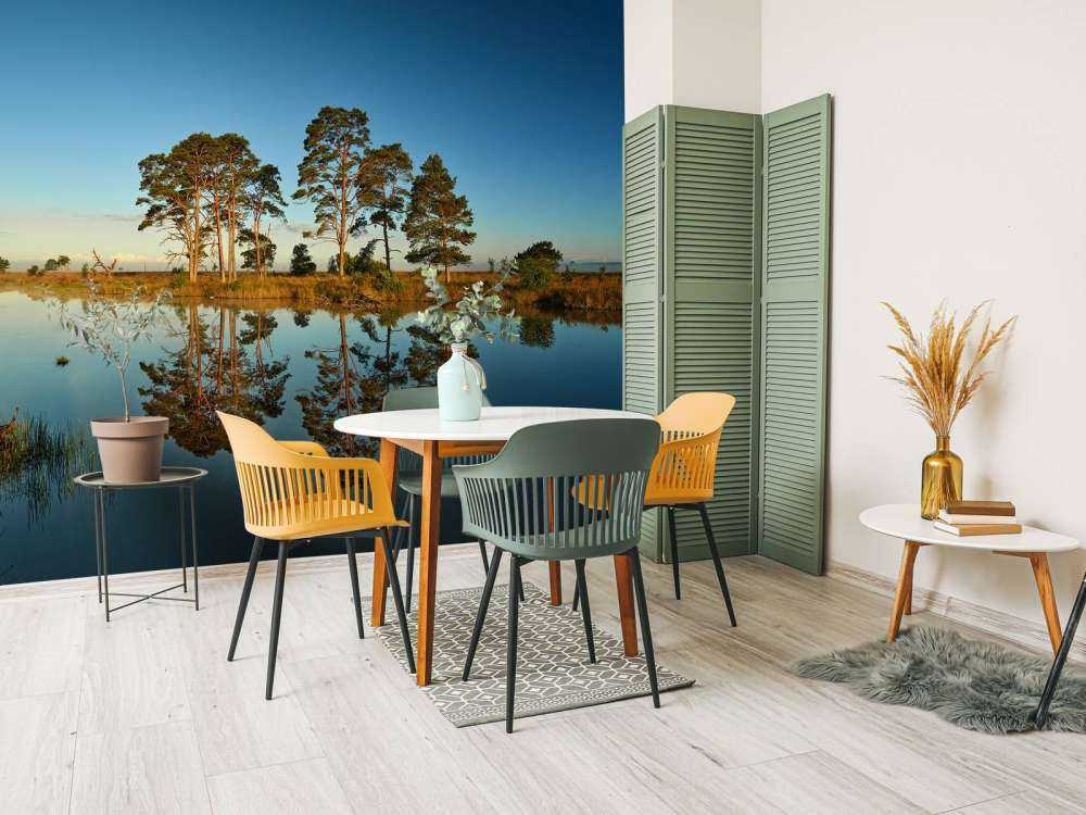 Refleksjon i skogsjøen