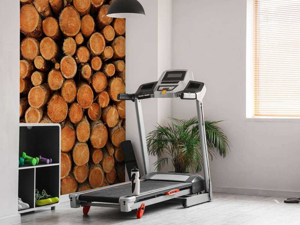 Haug med mørke trestammer