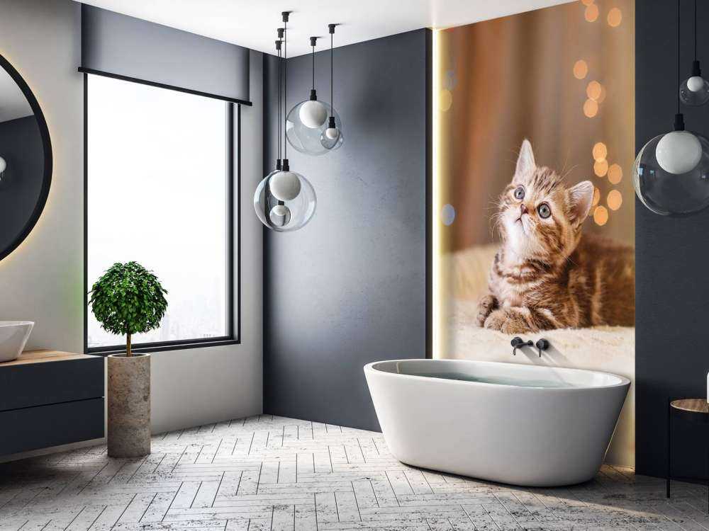Søt katt