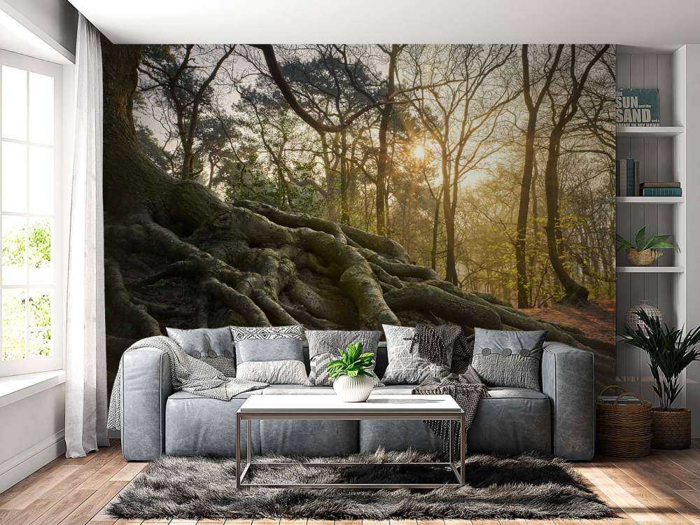 Trerøtter over bakken