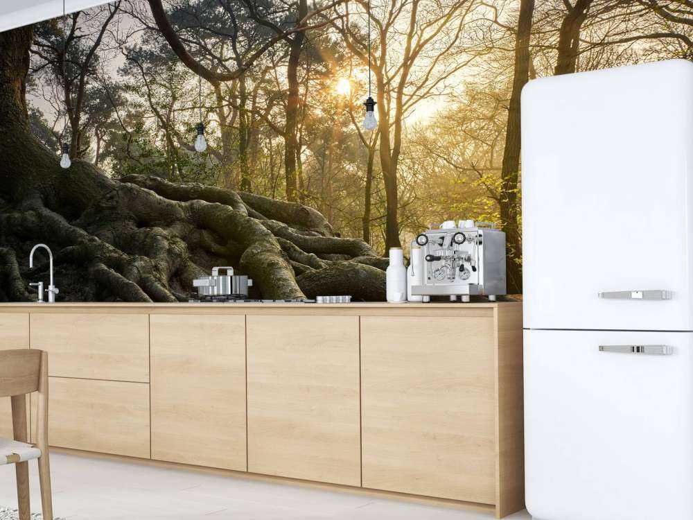 Trerøtter over bakken