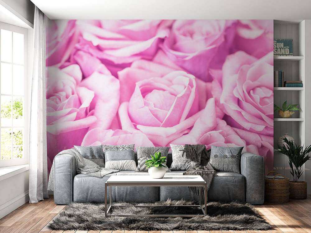 Roses