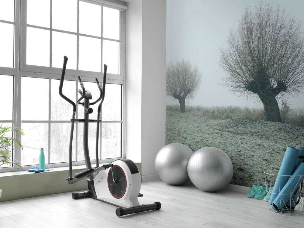 Pollard pil i tåken