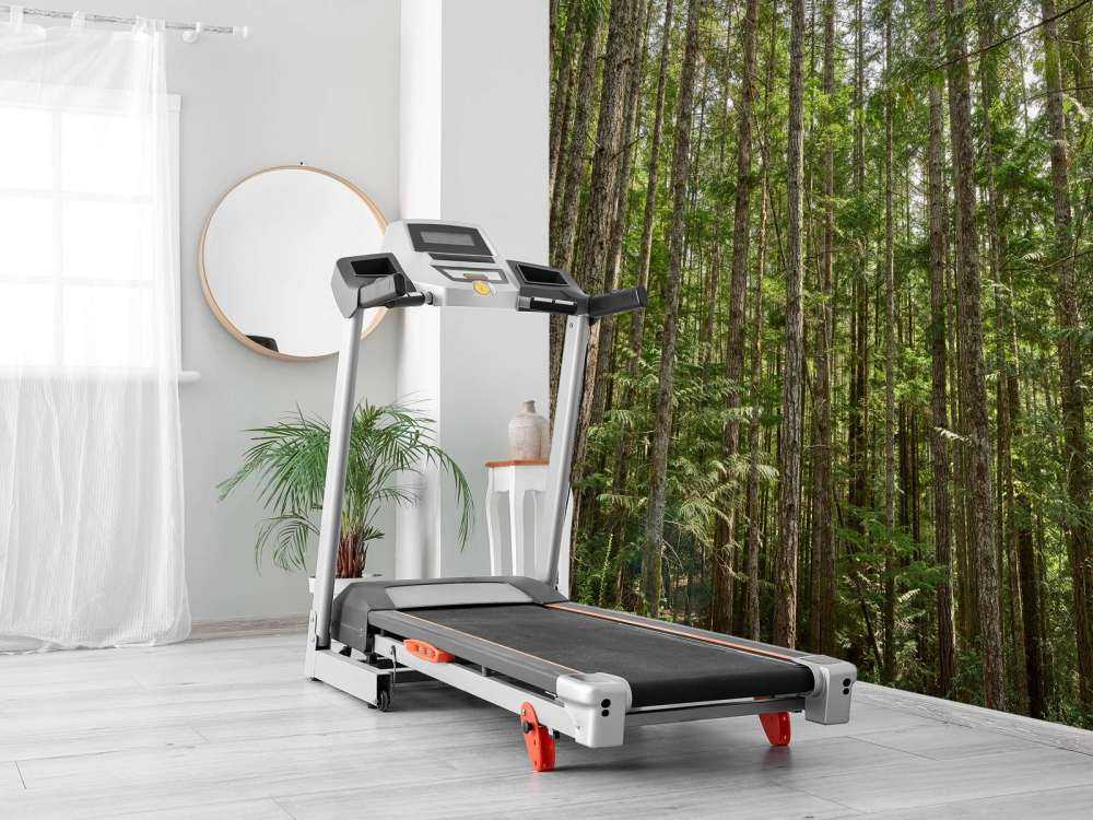 Tynne trær i skogen