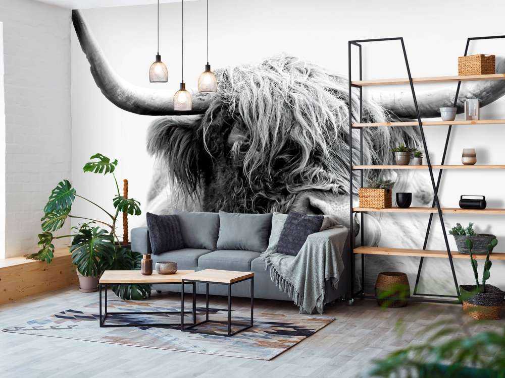 Morsomme skotske høyland