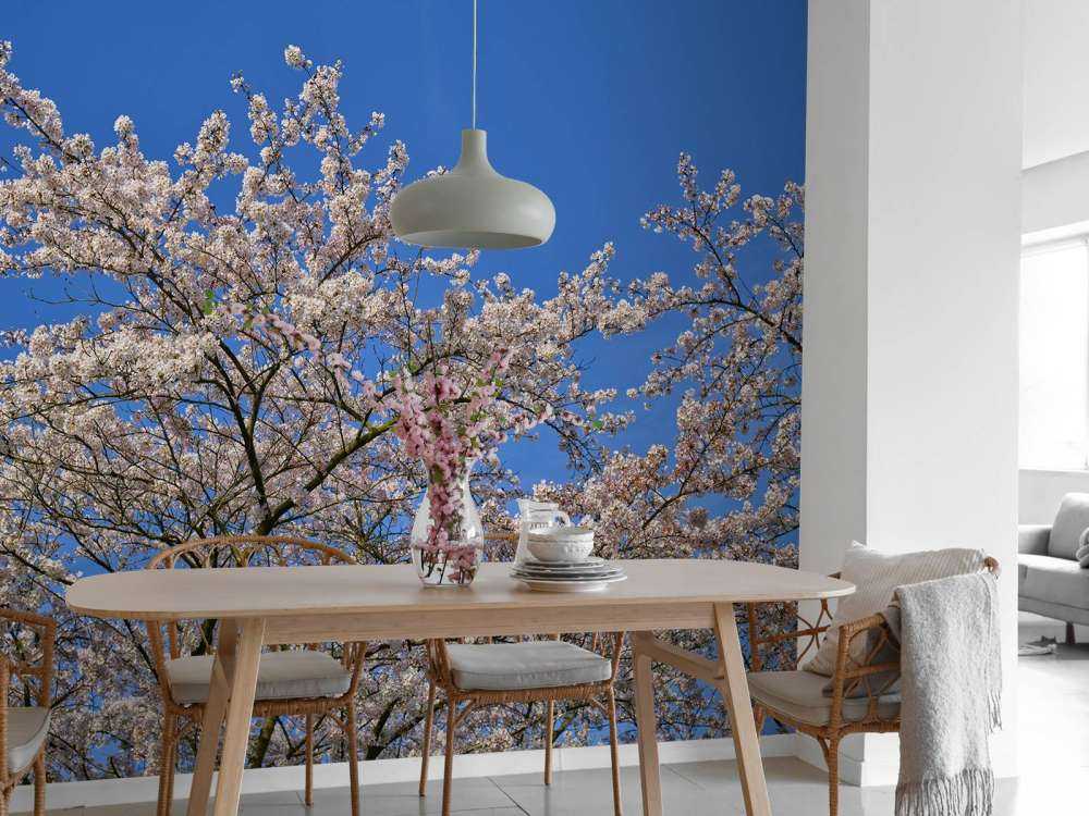 Blomstring med blå himmel