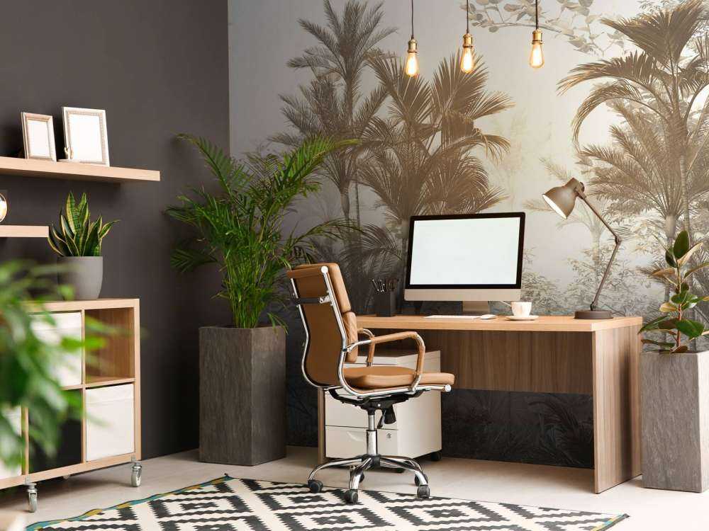 Sollys gjennom Palmer