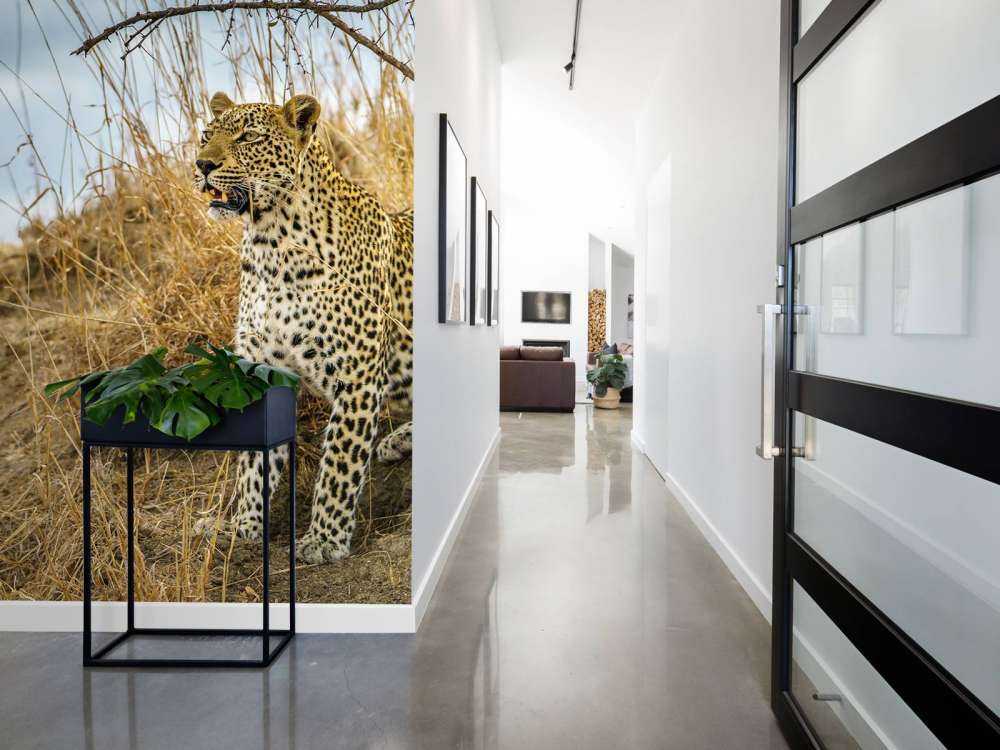 Leopard på utkikk