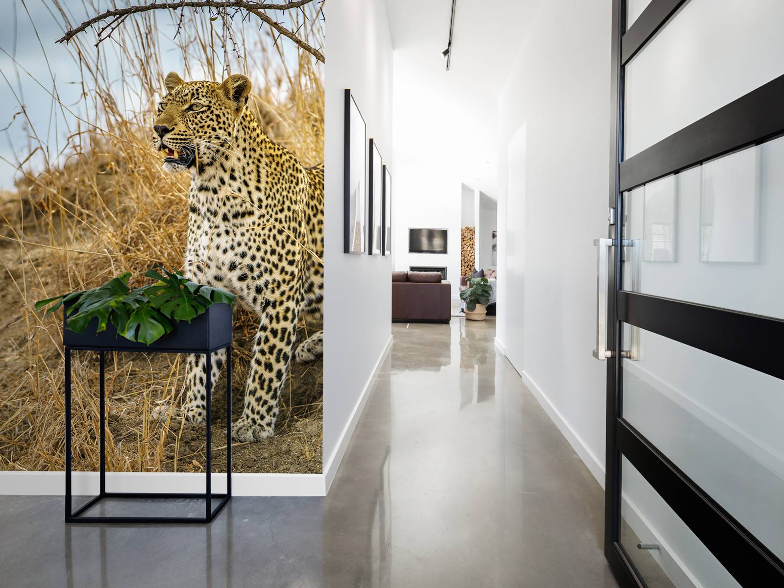 Leopard på utkikk