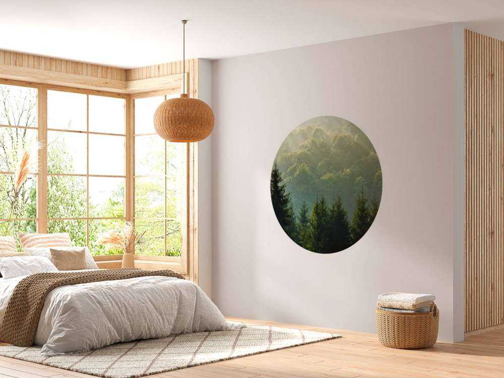 Solstråler over skogen