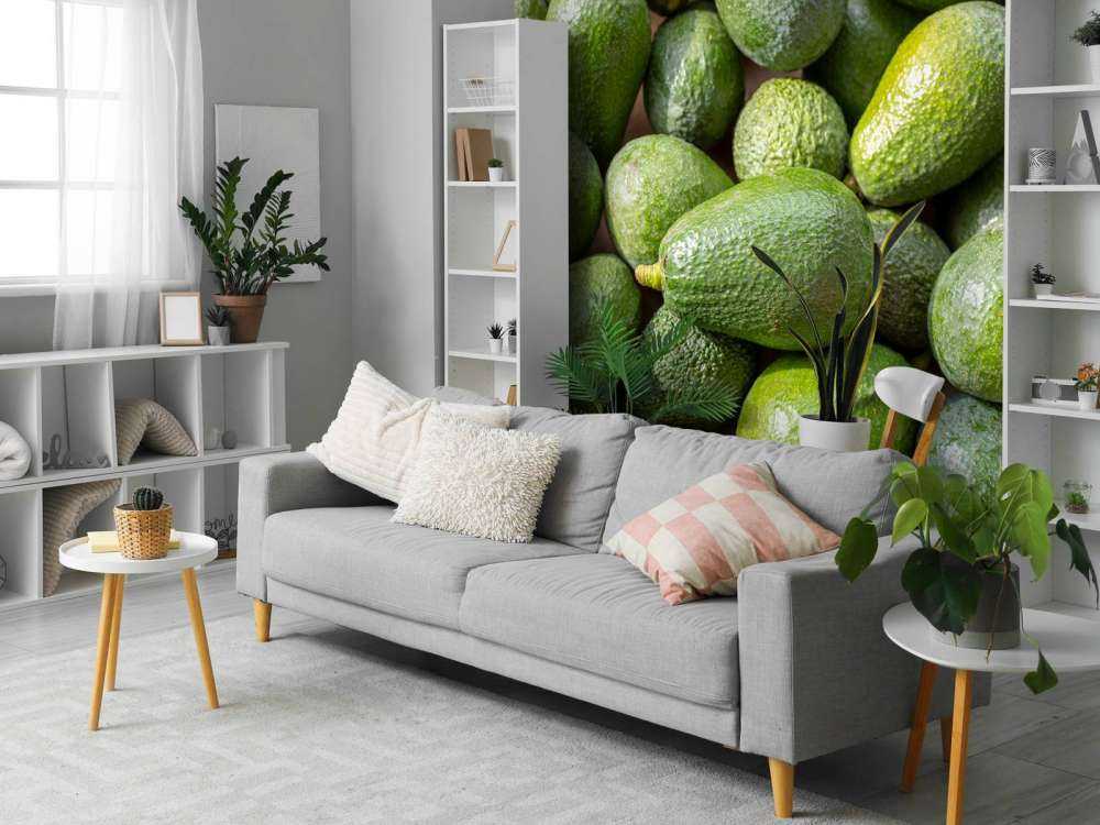 Avocadoer
