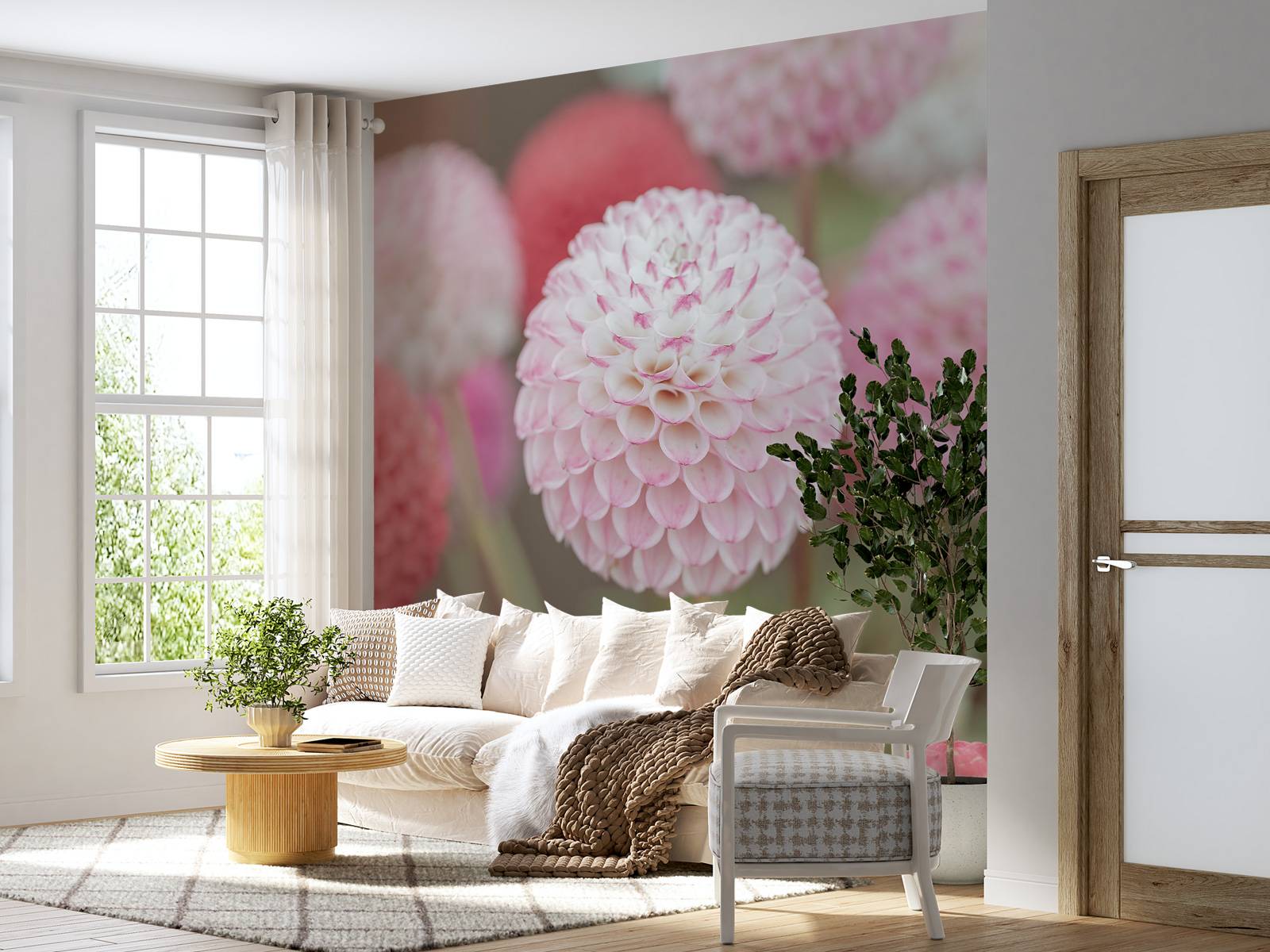 Pink dahlia blomster